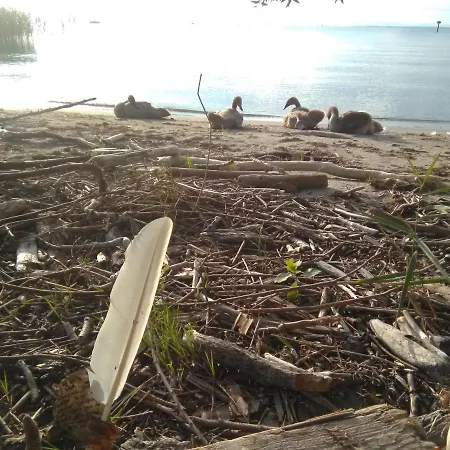 Behagliches Tiny House In Seenaehe بيت للعطل Höchst